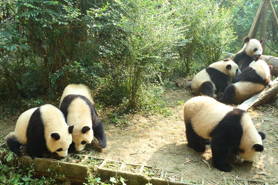 世界一周ルート一覧の写真