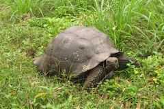 世界遺産ガラパゴス諸島
