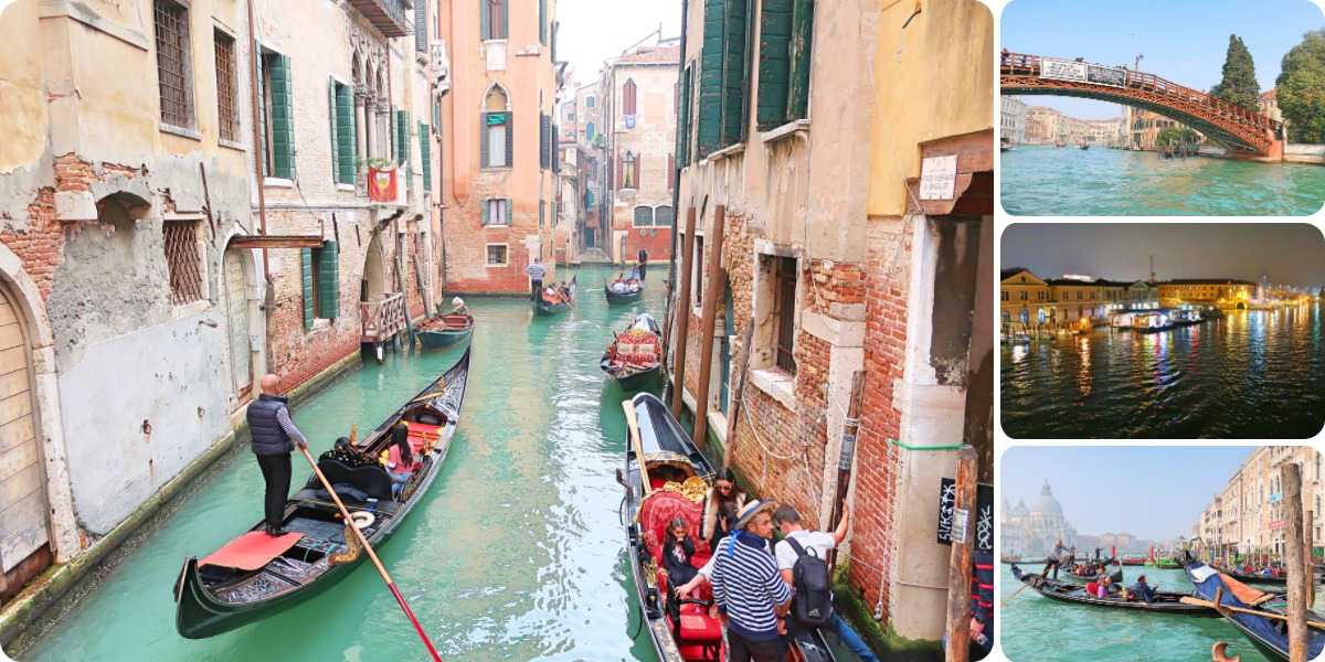 プロフ・ポリシーの写真