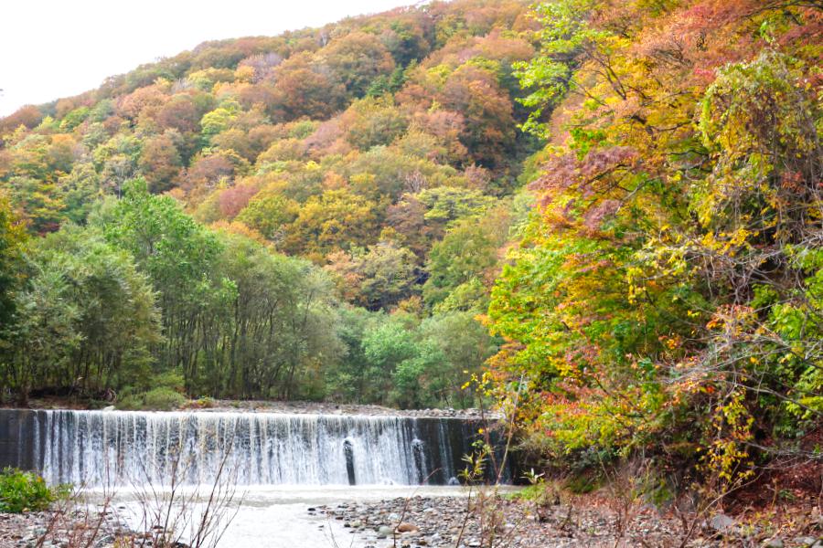 青森 白神山地・縄文遺跡
