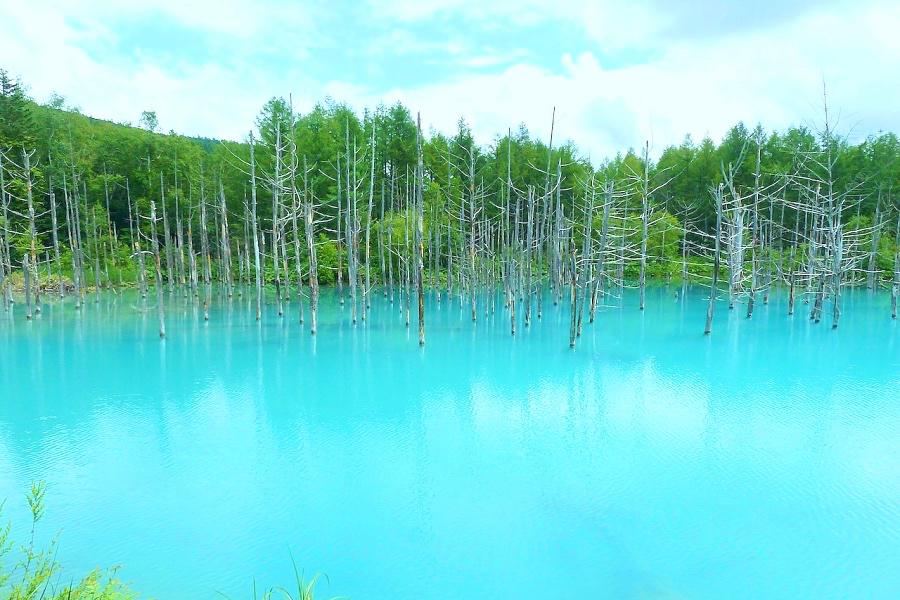 北海道旅行・青い池