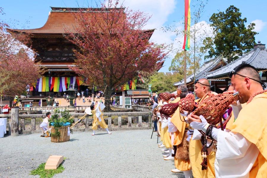 吉野の千本桜・熊野・高野山