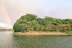 世界遺産百舌鳥・古市古墳群 古代日本の墳墓群