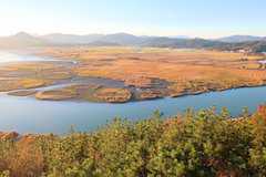 世界遺産ゲボル、韓国の干潟群