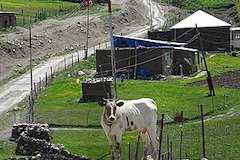 世界遺産キナルグ人の文化的景観と移牧の道カッチヨル