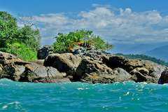 世界遺産パラチーとグランデ島の文化と生物多様性