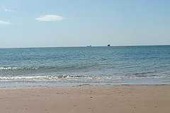 世界遺産中国の黄海−渤海湾沿岸の渡り鳥保護区群